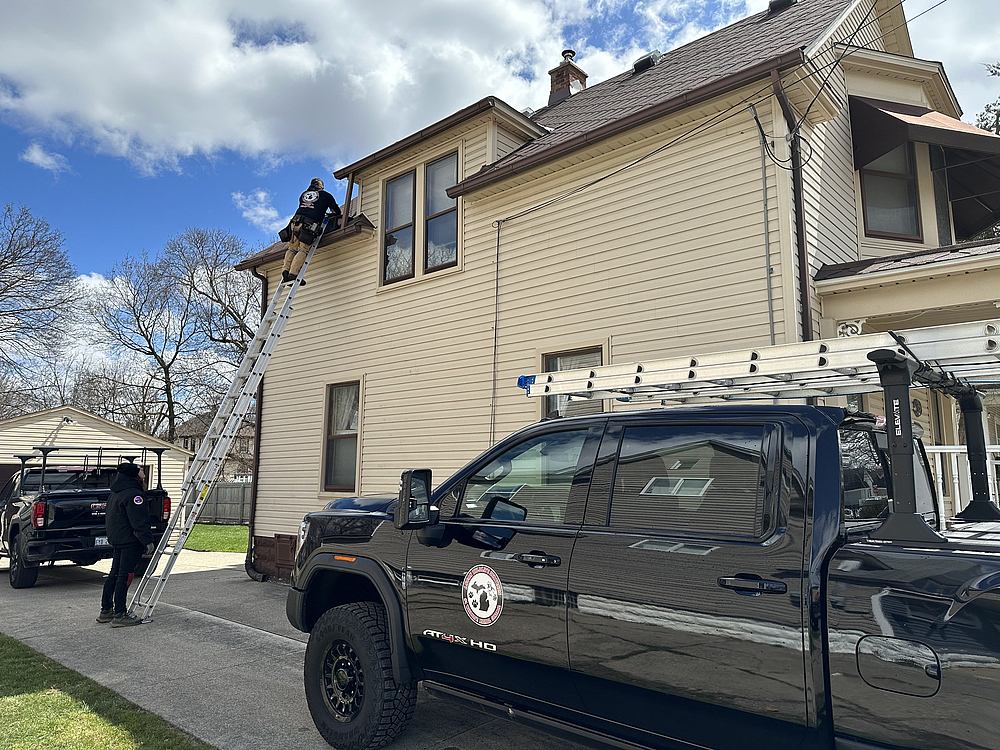 Attic Bat Exclusion: Step-by-Step What a Safe Removal Looks Like