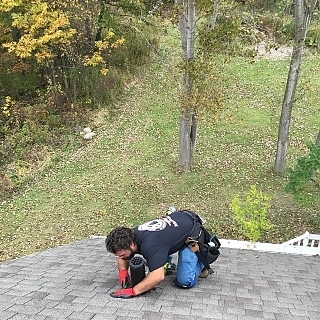 ancon-wildlife-removal-photo-gallery_2